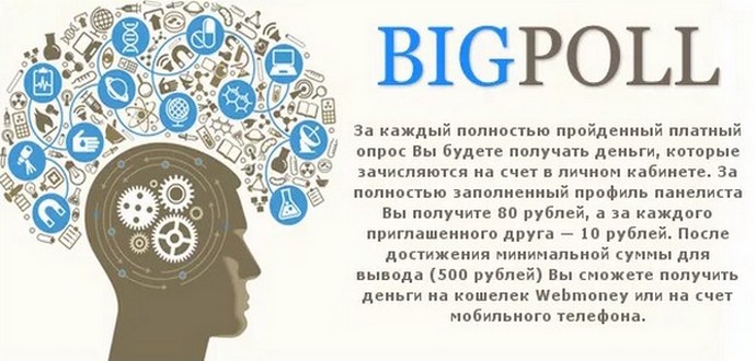 Проверенный и платящий опросник для заработка BigPoll Проверенный опросник для заработка BigPoll